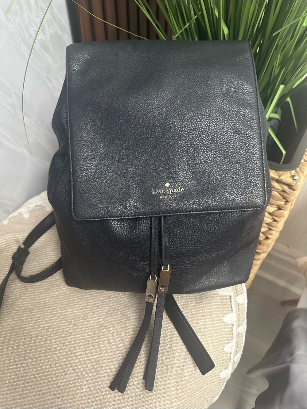 Kate Spade New York Bag